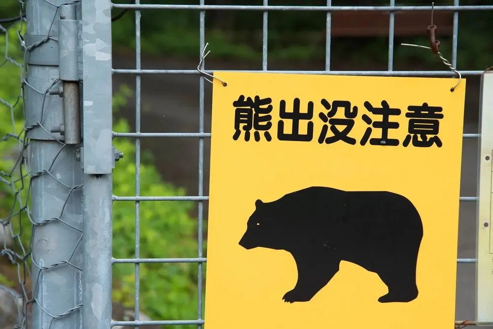 Meet Hacchan: Japan’s Autonomous Robo-Dog Designed to Tackle the Rising Threat of Rural Bear Encounters