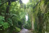 Navigating the Boso Peninsula: A Definitive Guide to Southern Chiba’s Ultimate Self-Drive Itinerary