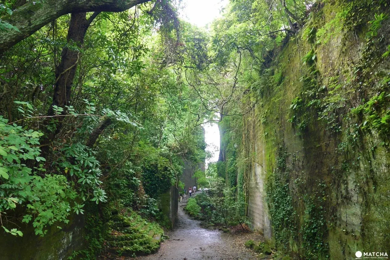 Navigating the Boso Peninsula: A Definitive Guide to Southern Chiba’s Ultimate Self-Drive Itinerary