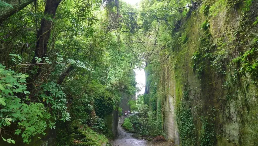 Navigating the Boso Peninsula: A Definitive Motorist’s Guide to Southern Chiba’s Hidden Coastal and Mountain Treasures