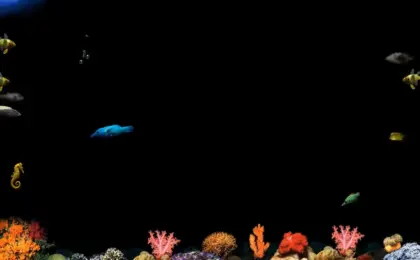 The Digital Aquarium: How a Dentist’s Office and an Underground Microsoft Collective Created the Iconic ‘After Dark’ Fish Screensaver