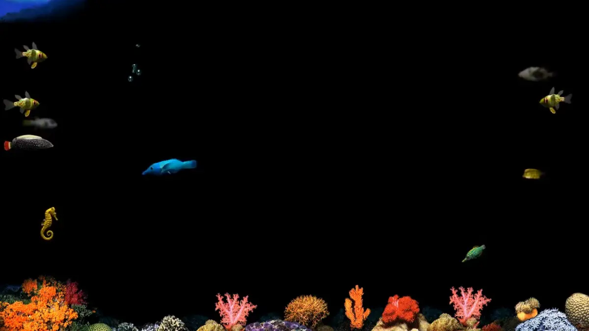 The Digital Aquarium: How a Dentist’s Office and an Underground Microsoft Collective Created the Iconic ‘After Dark’ Fish Screensaver